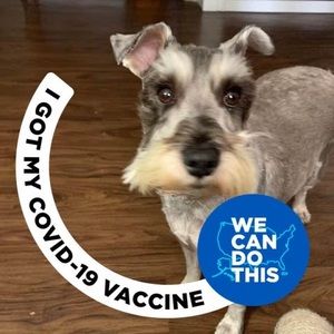 Meet your Posher, Vicki